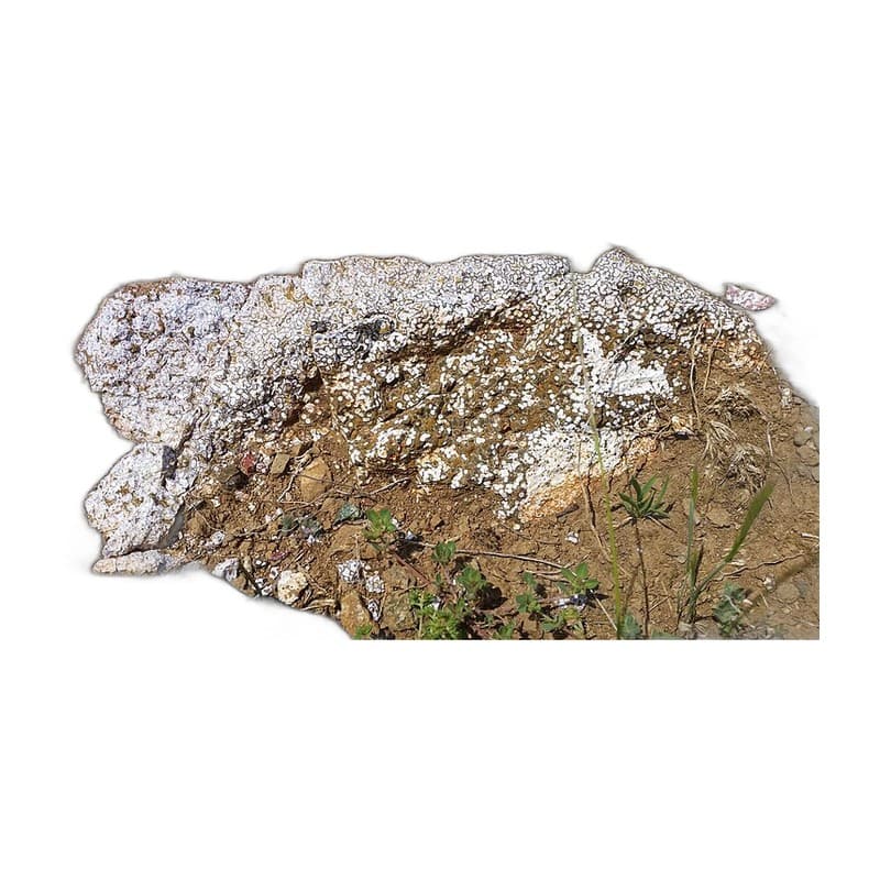 Ocean Jasper