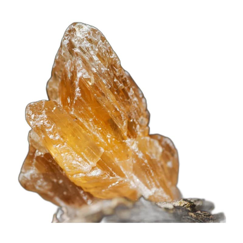 Scapolite