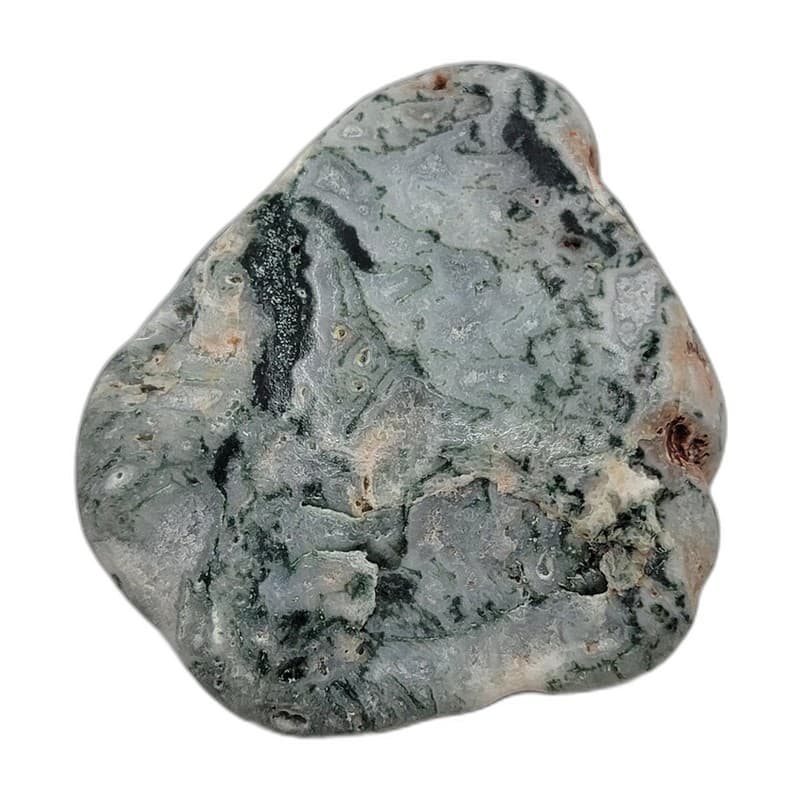 Tree Agate